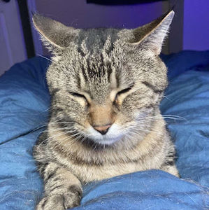 Meet your Posher, Carly